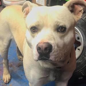 Meet your Posher, Chris